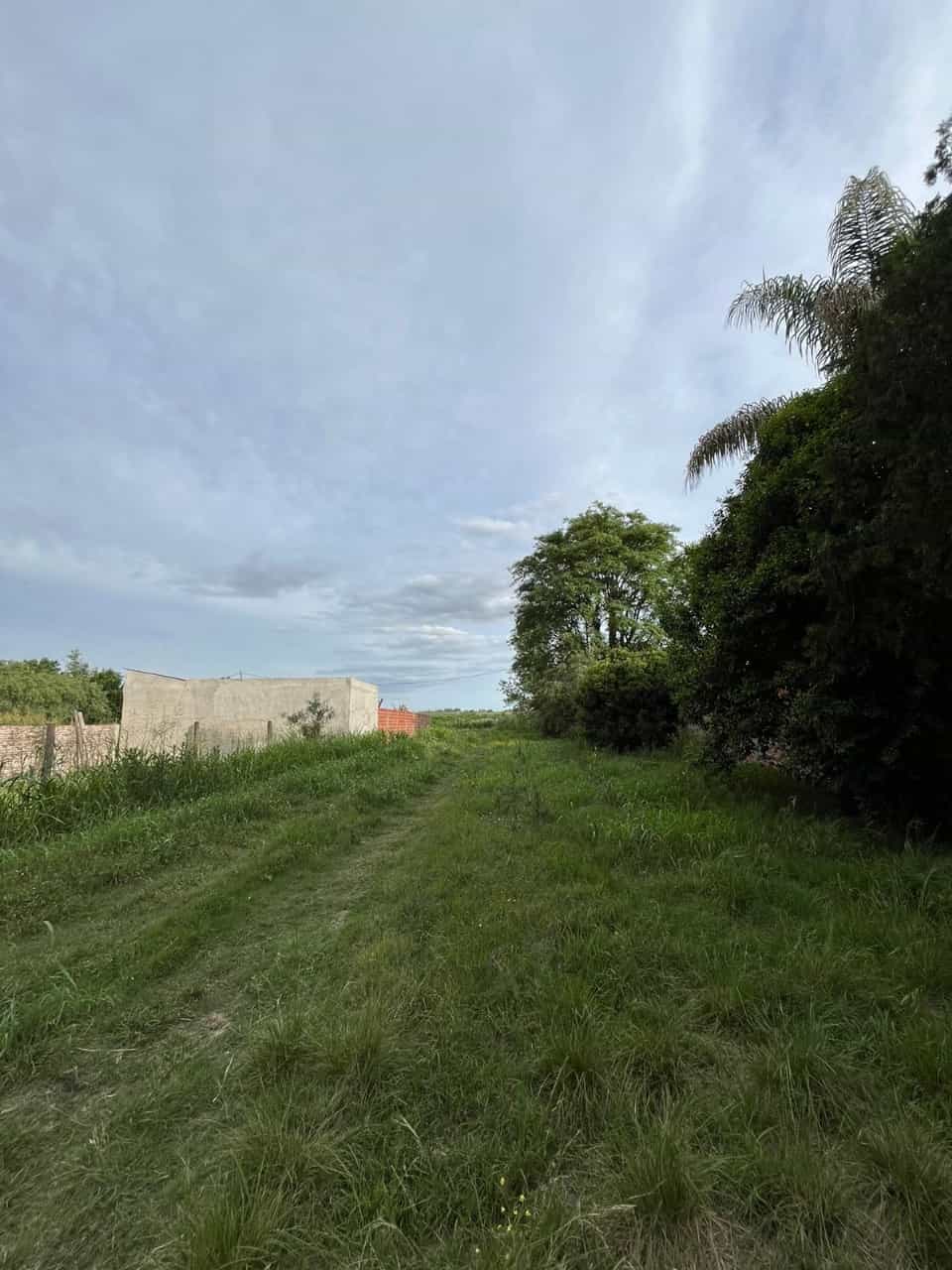 Imagen de la propiedad LOTE EN VENTA EN SAUCE MONTRULL