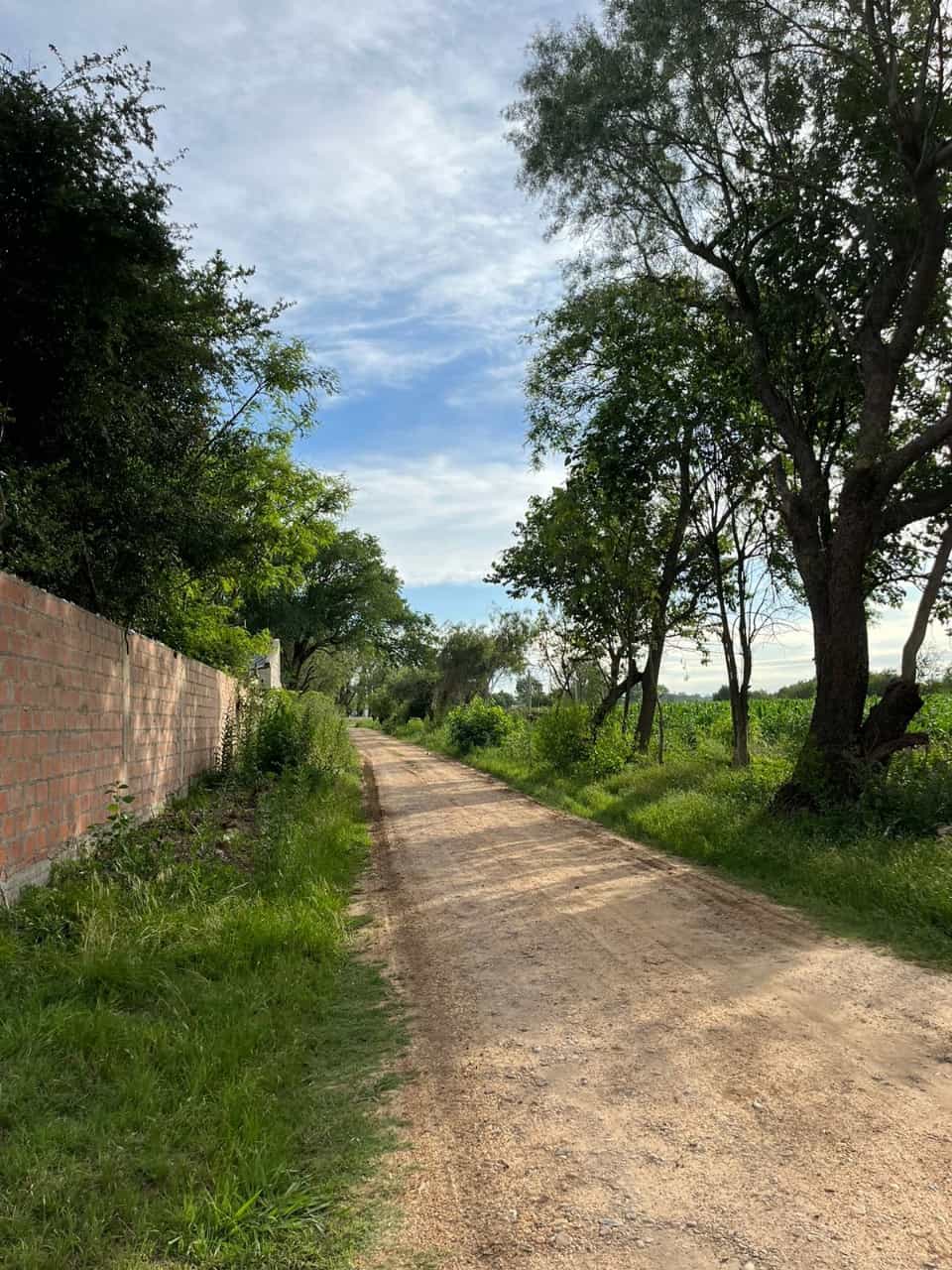 Imagen de la propiedad LOTE EN VENTA EN SAUCE MONTRULL