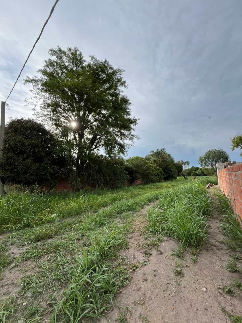 Imagen de la propiedad LOTE EN VENTA EN SAUCE MONTRULL