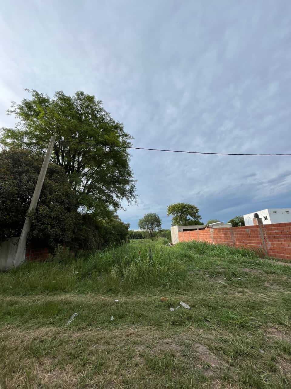 Imagen de la propiedad LOTE EN VENTA EN SAUCE MONTRULL