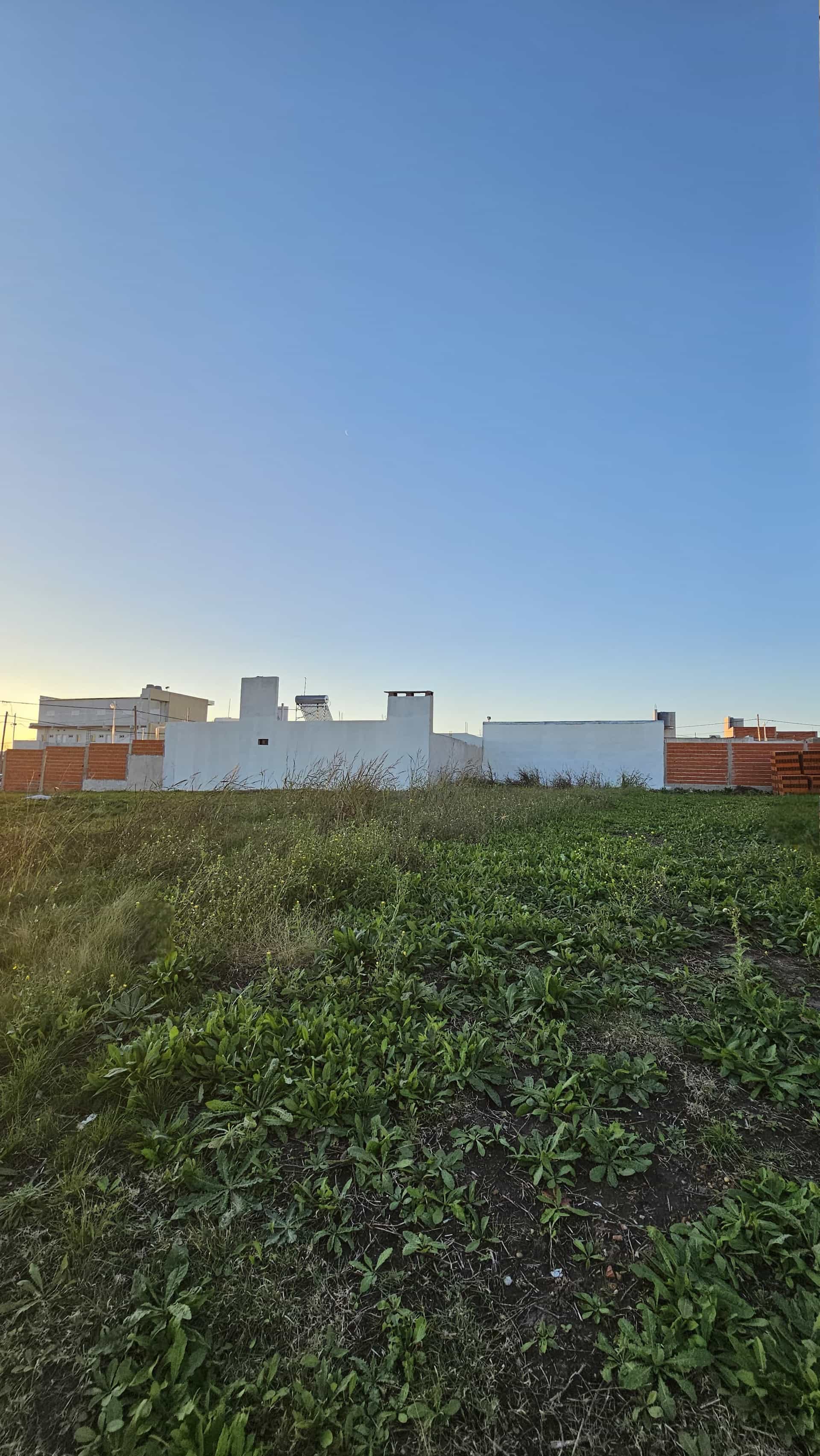 Imagen de la propiedad TERRENO EN VENTA (SAN BENITO)