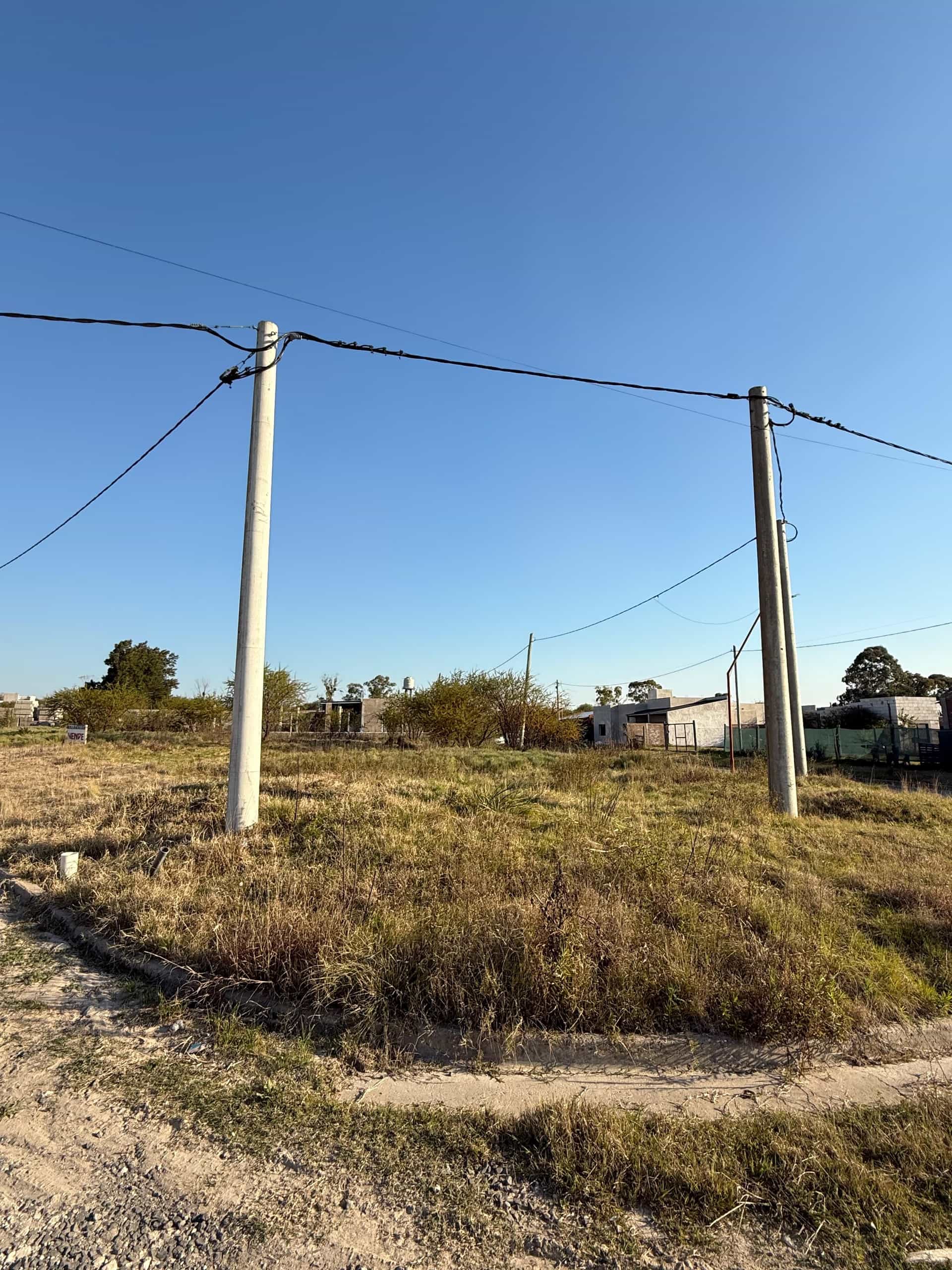 𝐕𝐄𝐍𝐓𝐀 𝐓𝐄𝐑𝐑𝐄𝐍𝐎 | 𝐋𝐎𝐓𝐄𝐎 𝐎𝐀𝐒𝐈𝐒 | 𝐎𝐑𝐎 𝐕𝐄𝐑𝐃𝐄