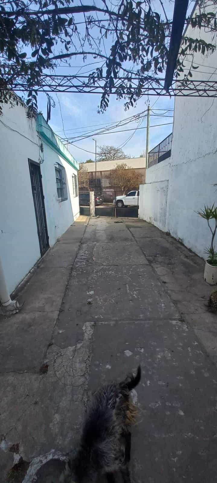 Imagen de la propiedad CASA EN VENTA A REFACCIONAR