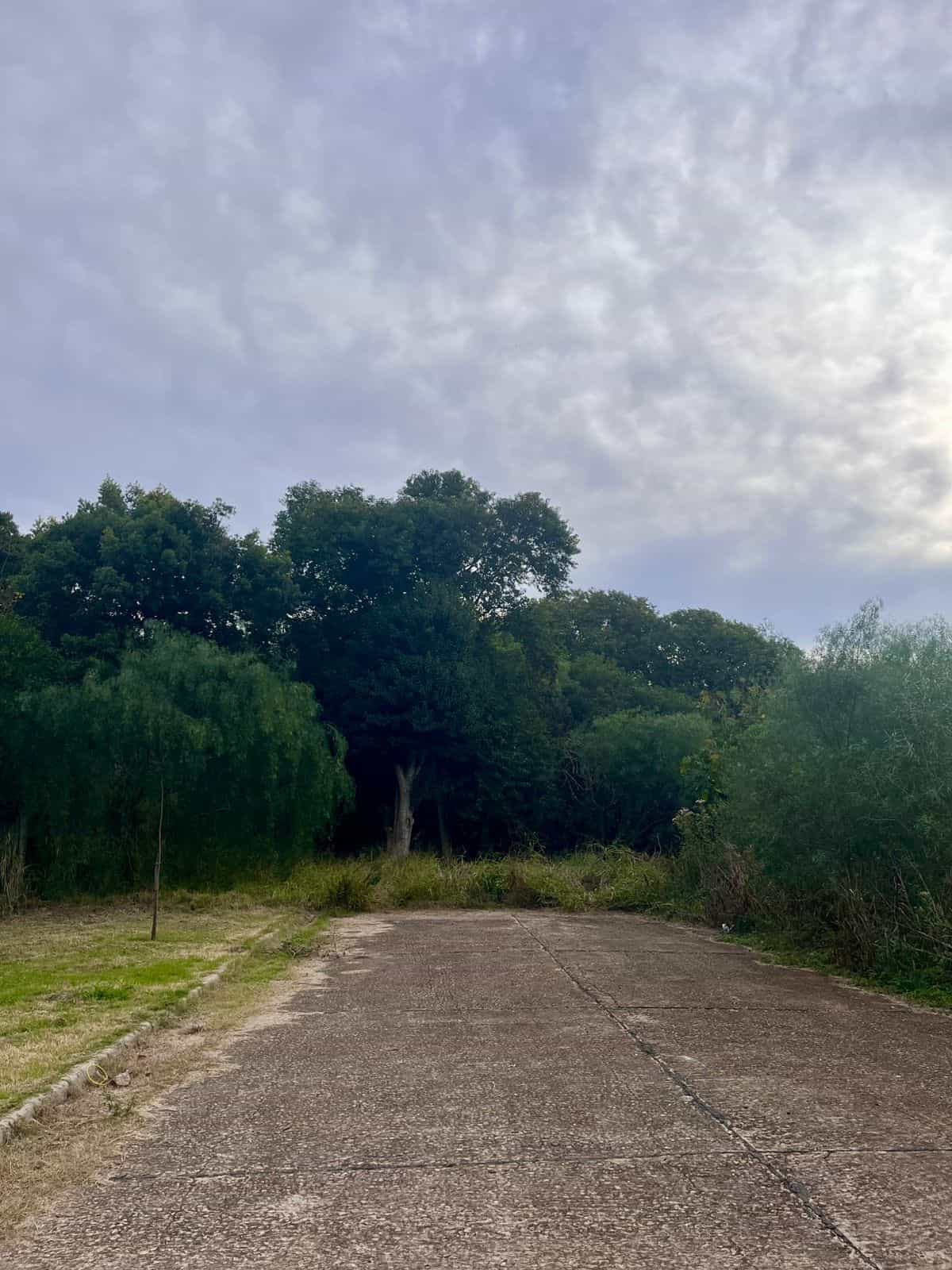 Imagen de la propiedad LOTE EN VENTA