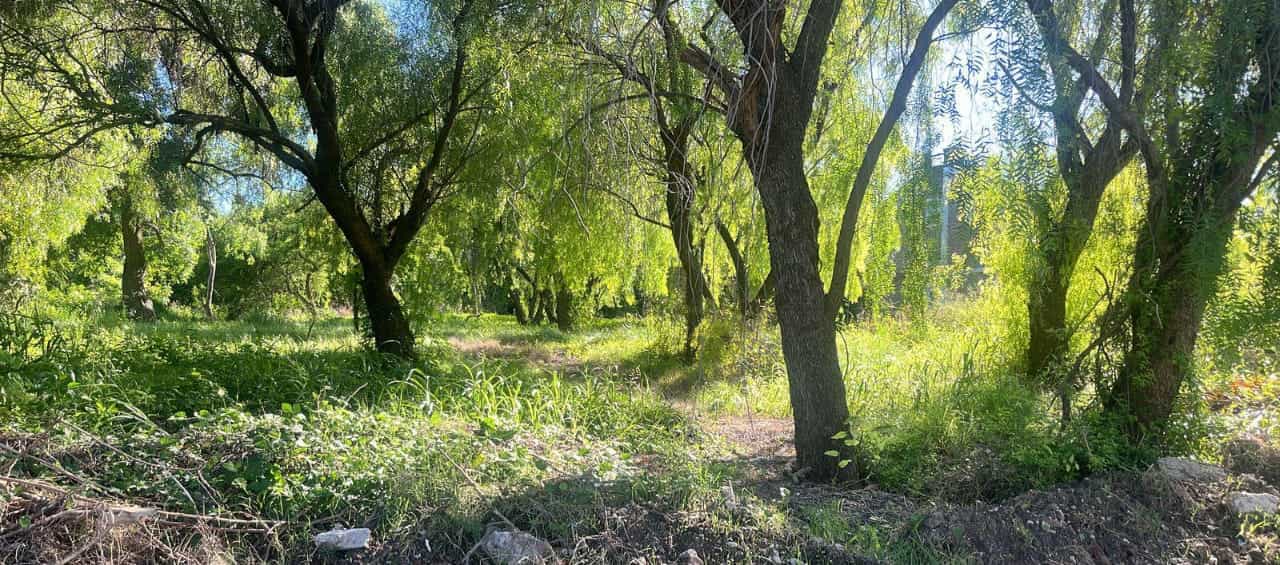 Imagen de la propiedad LOTE EN VENTA