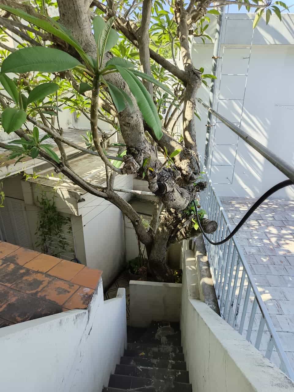 Imagen de la propiedad CASA EN VENTA - 5 HABITACIONES (APTA CREDITO)