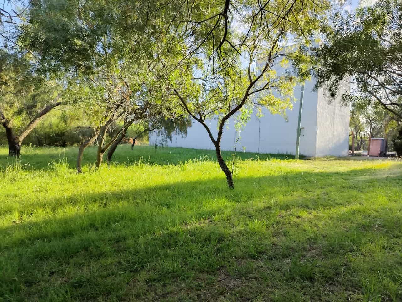 Imagen de la propiedad LOTE EN VENTA - SAUCE MONTRULL