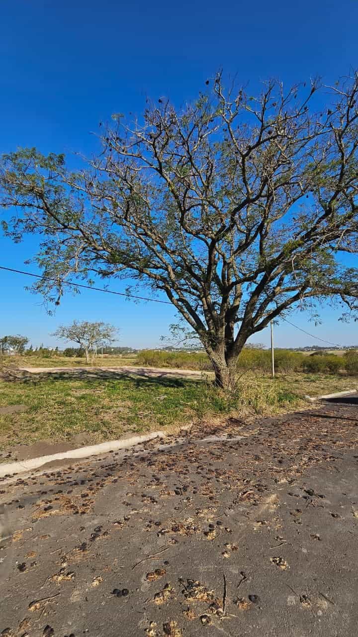 Imagen de la propiedad VENTA DE LOTEO JARDINES DEL HIPODROMO - ORO VERDE