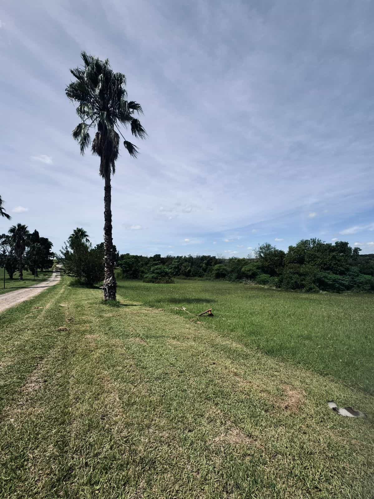 Imagen de la propiedad DOS LOTES EN VENTA -  COLINA DEL GOLF