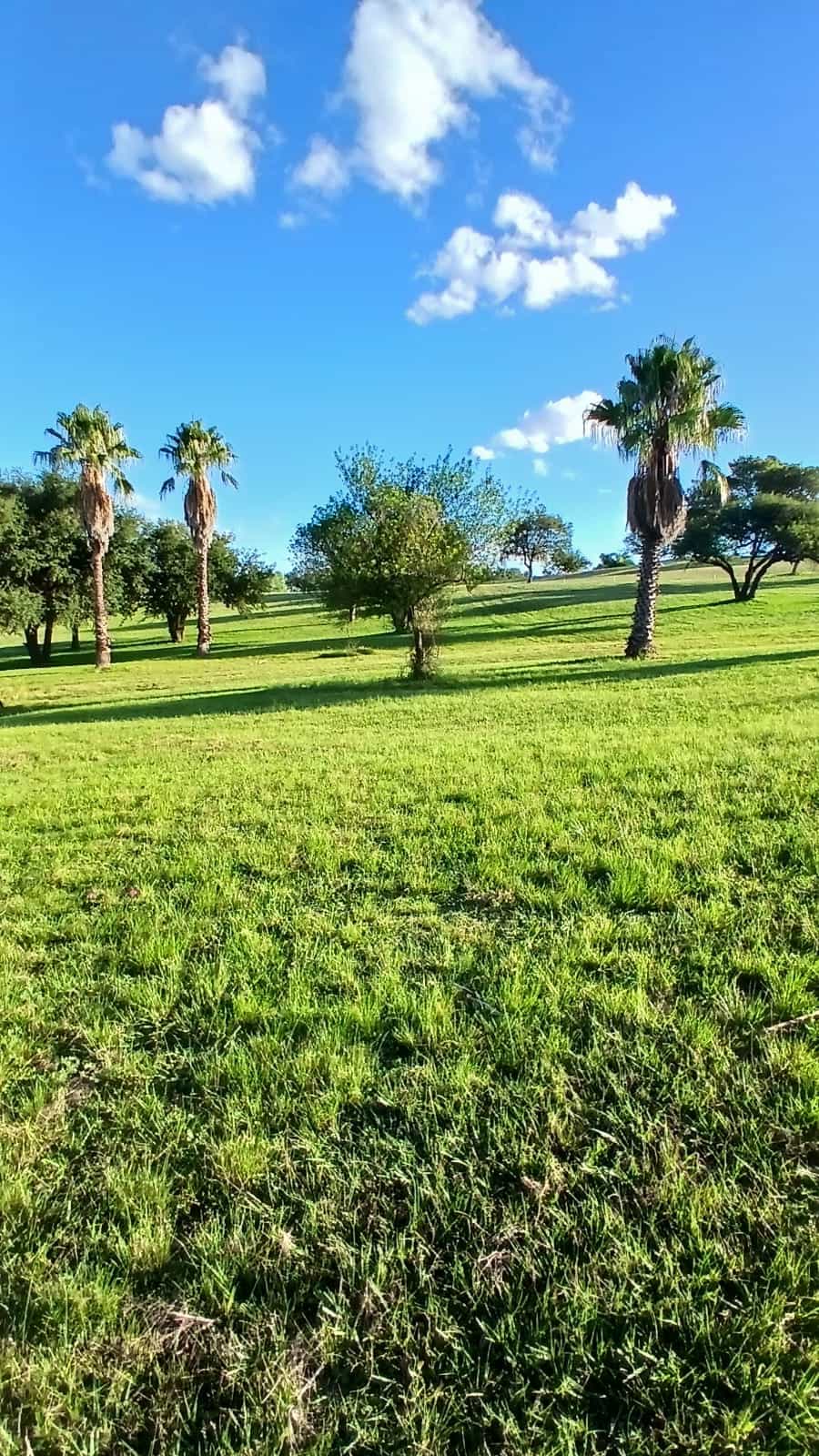 Imagen de la propiedad TERRENO EN VENTA – CLUB DE CAMPO Y GOLF LAS COLINAS