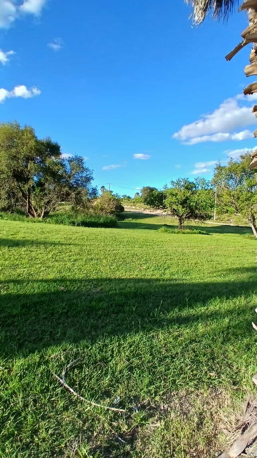 Imagen de la propiedad TERRENO EN VENTA – CLUB DE CAMPO Y GOLF LAS COLINAS