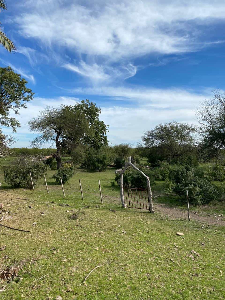 Imagen de la propiedad OPORTUNIDAD EN VENTA / PERMUTA – 21,5 HECTÁREAS EN COLONIA FEDERAL