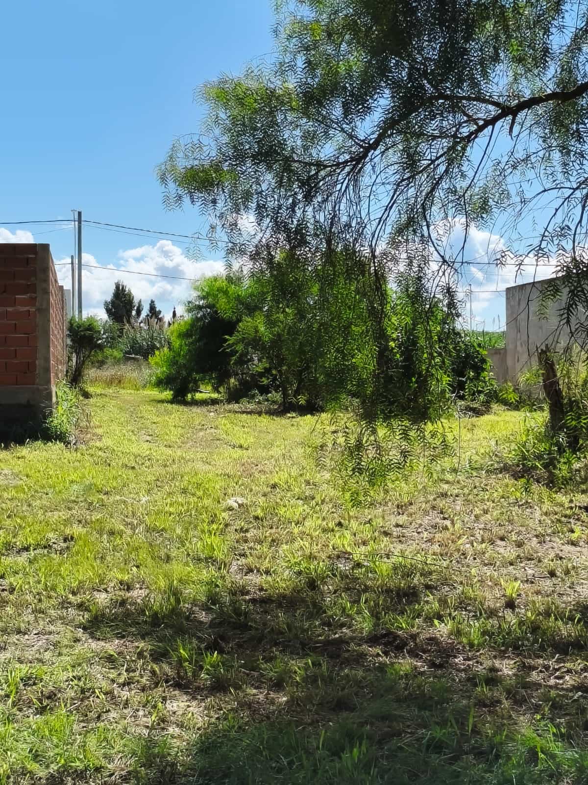 Imagen de la propiedad TERRENO EN VENTA