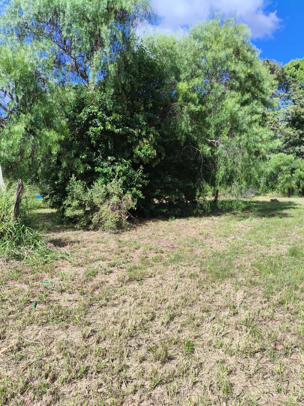 Imagen de la propiedad TERRENO EN VENTA