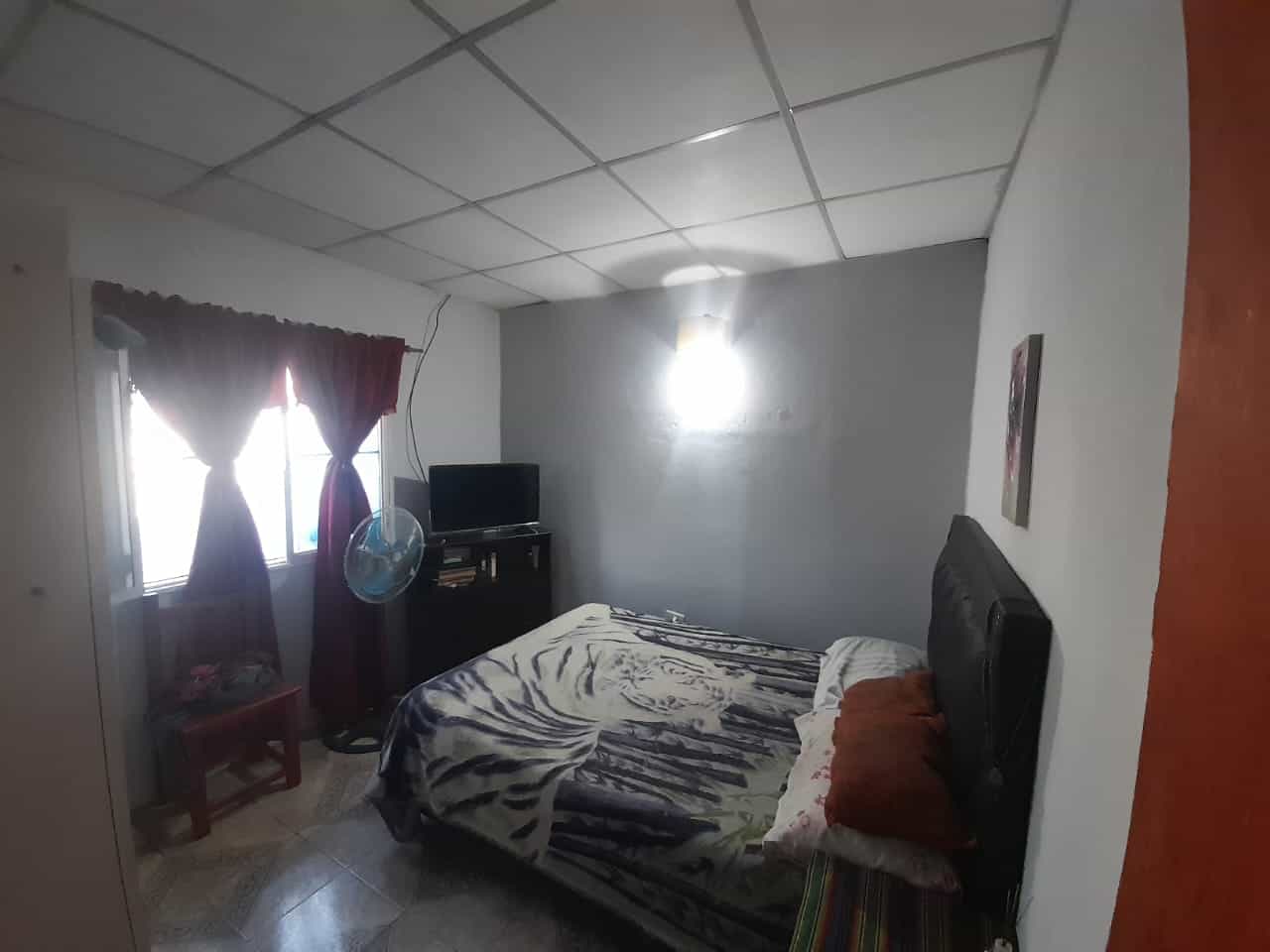 Imagen de la propiedad CASA EN VENTA — COLONIA AVELLANEDA