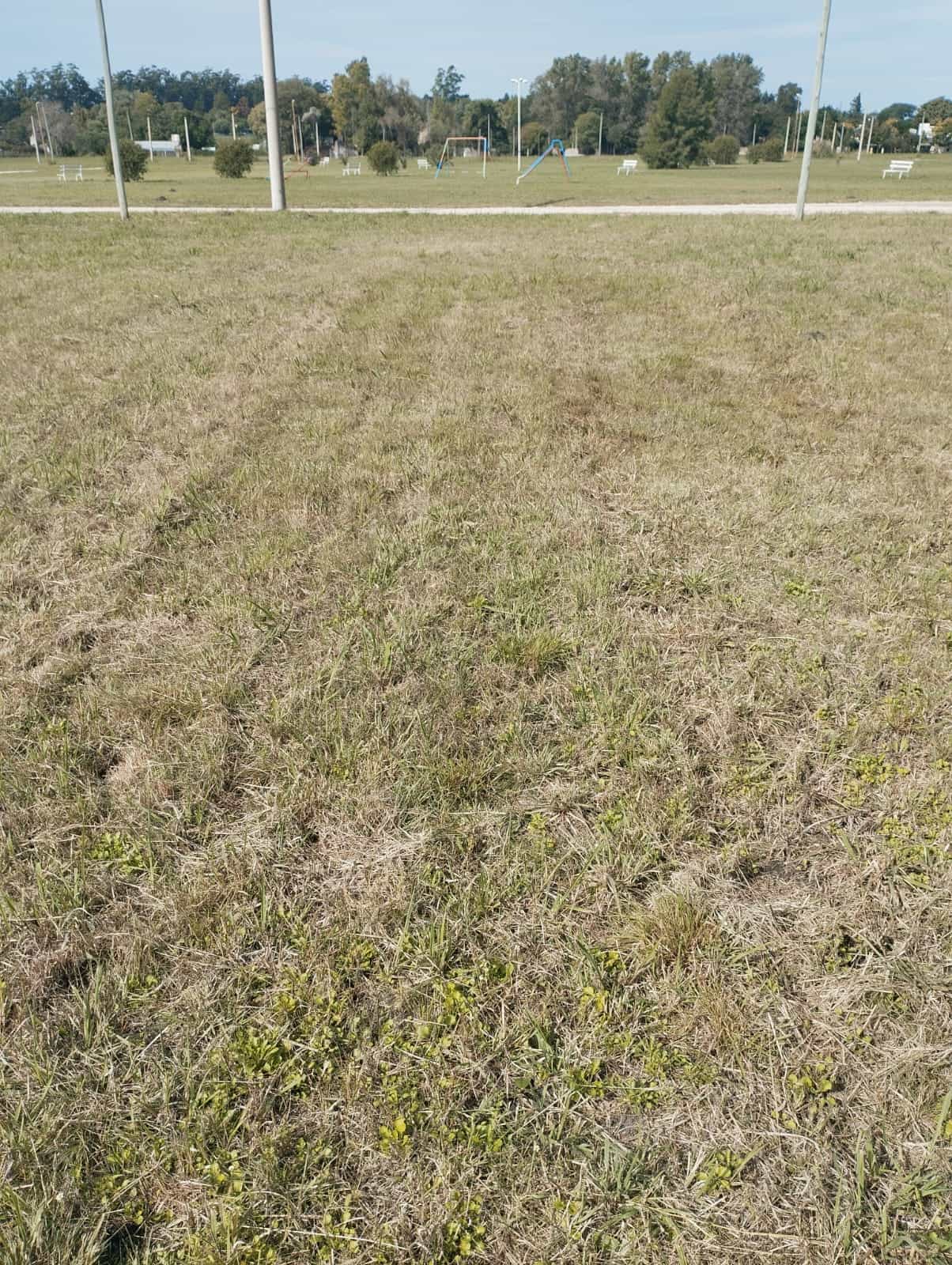 Imagen de la propiedad LOTE EN VENTA - TERRA NOSTRA