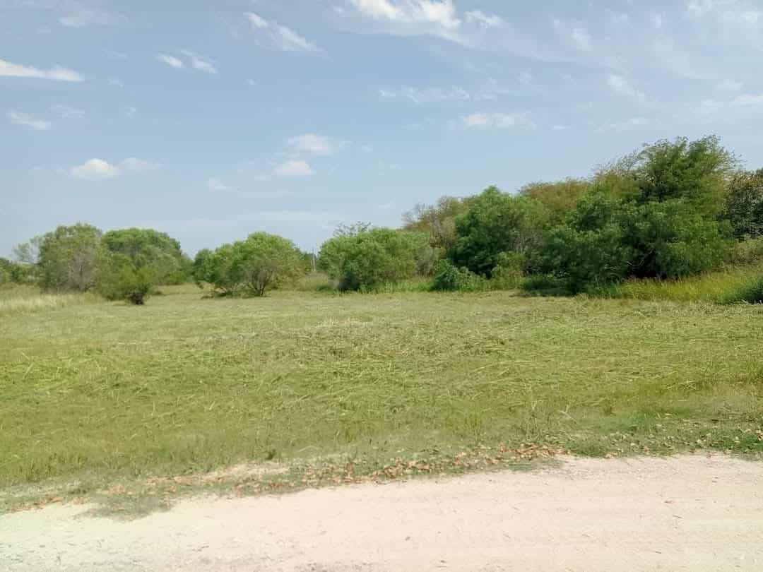 TERRENO EN VENTA - SAN BENITO