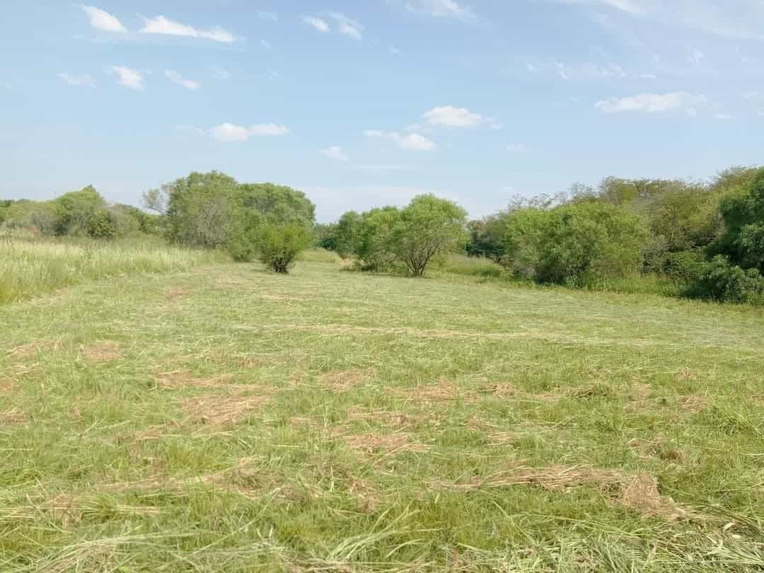 Imagen de la propiedad TERRENO EN VENTA - SAN BENITO