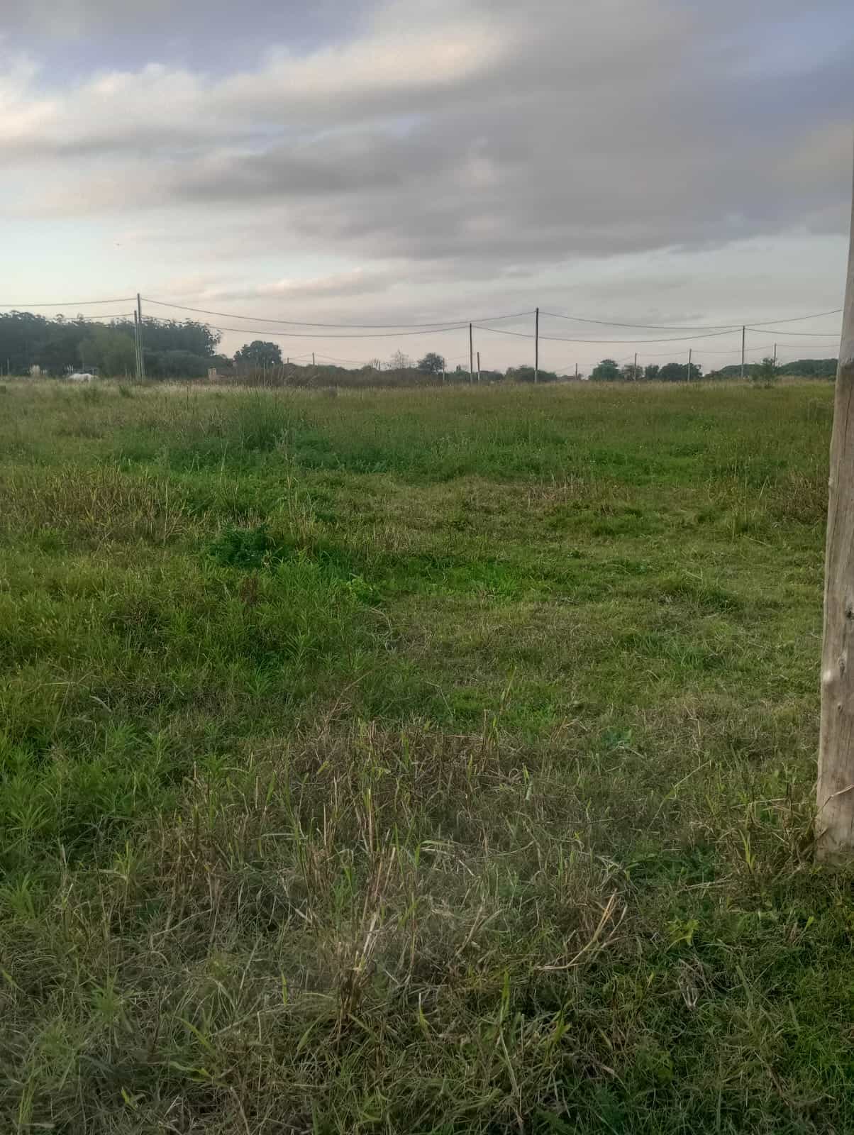 Imagen de la propiedad LOTE EN VENTA 