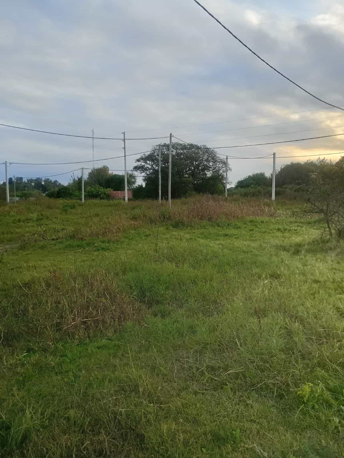 Imagen de la propiedad LOTE EN VENTA 