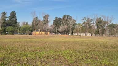 TERRENO EN VENTA | COLONIA AVELLANEDA