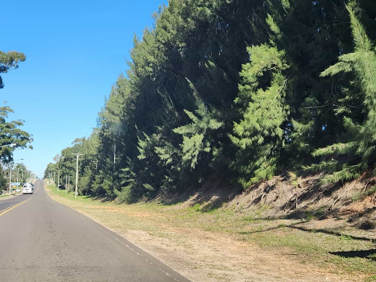 Imagen de la propiedad LOTE EN TIERRA EN CALABACILLAS