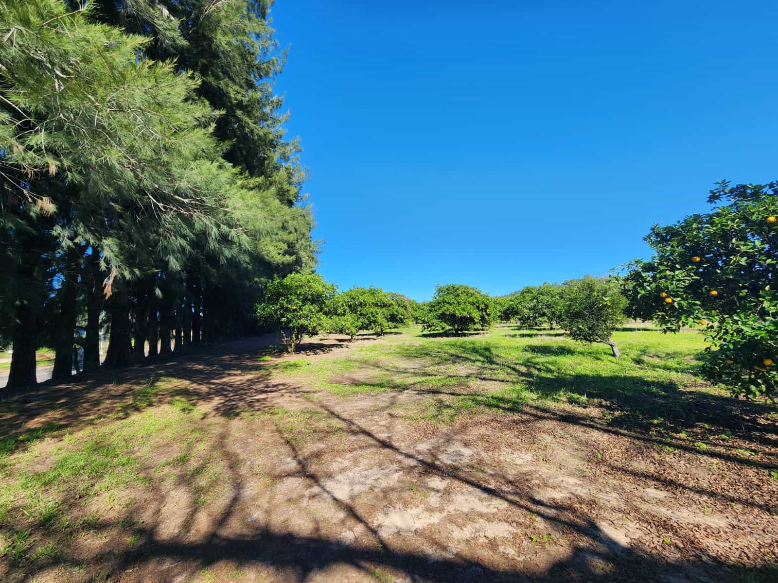 Imagen de la propiedad LOTE EN TIERRA EN CALABACILLAS