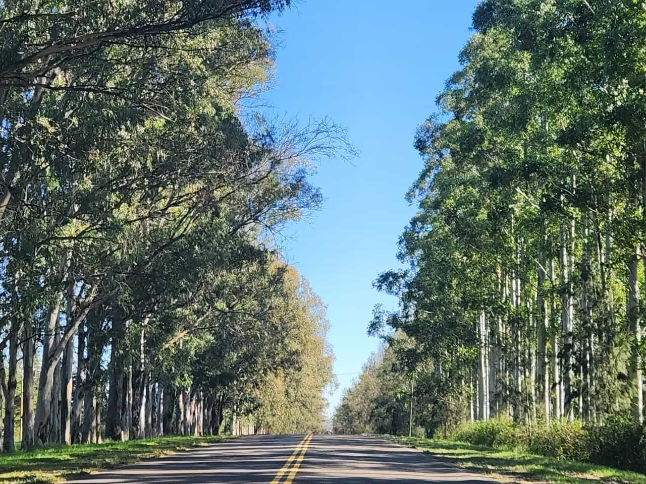 Imagen de la propiedad LOTE EN TIERRA EN CALABACILLAS