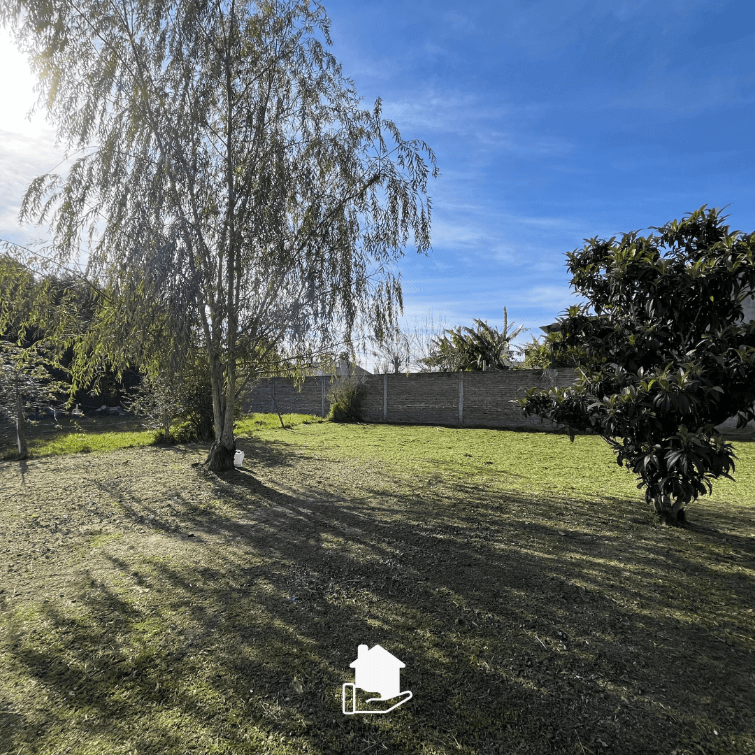 Imagen de la propiedad CASA CON AMPLIO PATIO VERDE 