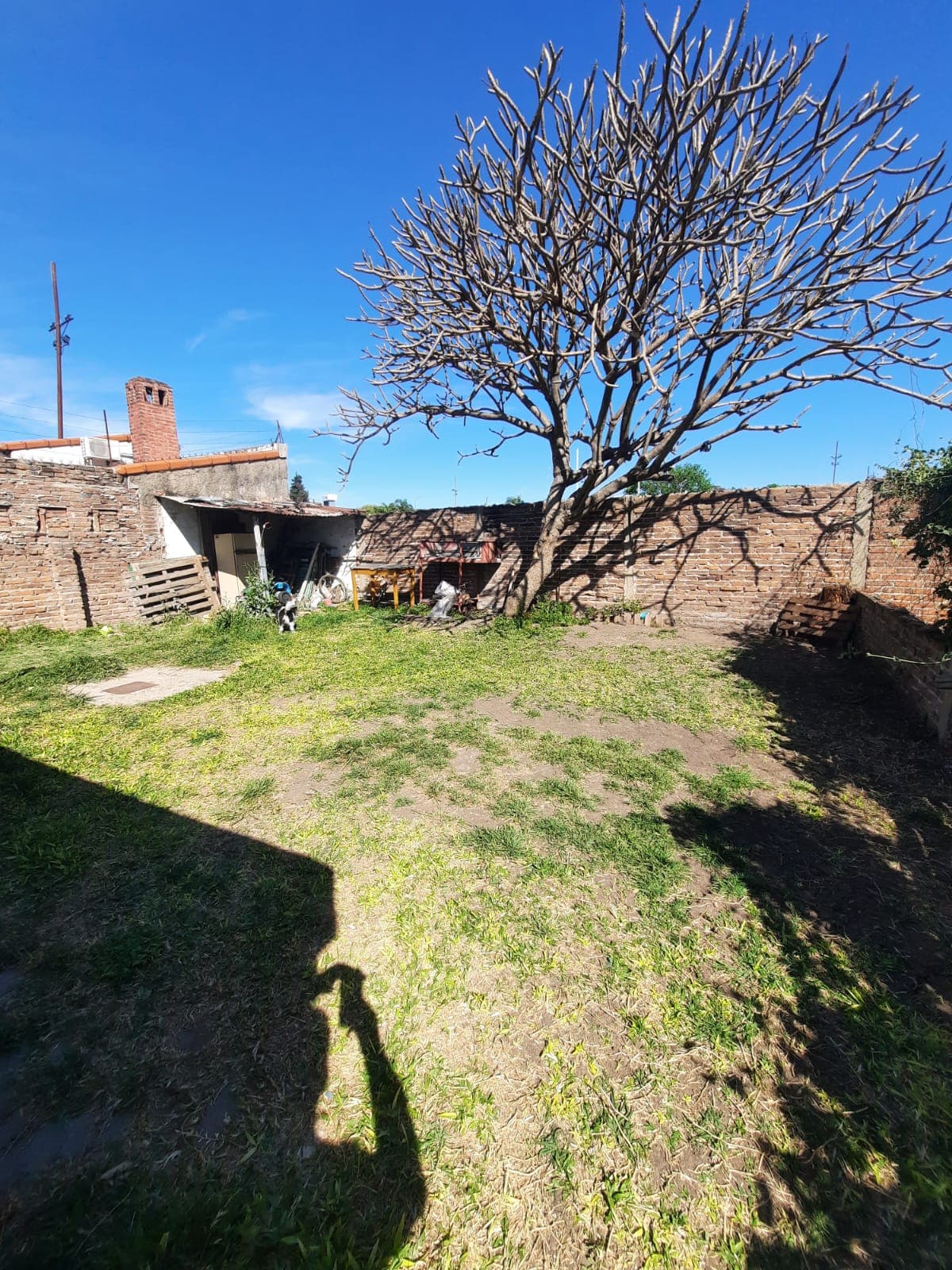 Imagen de la propiedad CASA + DEPTO A RECICLAR (Apta Crédito)