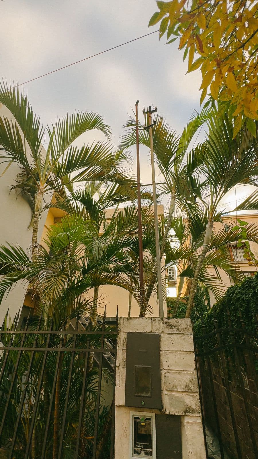 CASA PASCUAL PALMA 