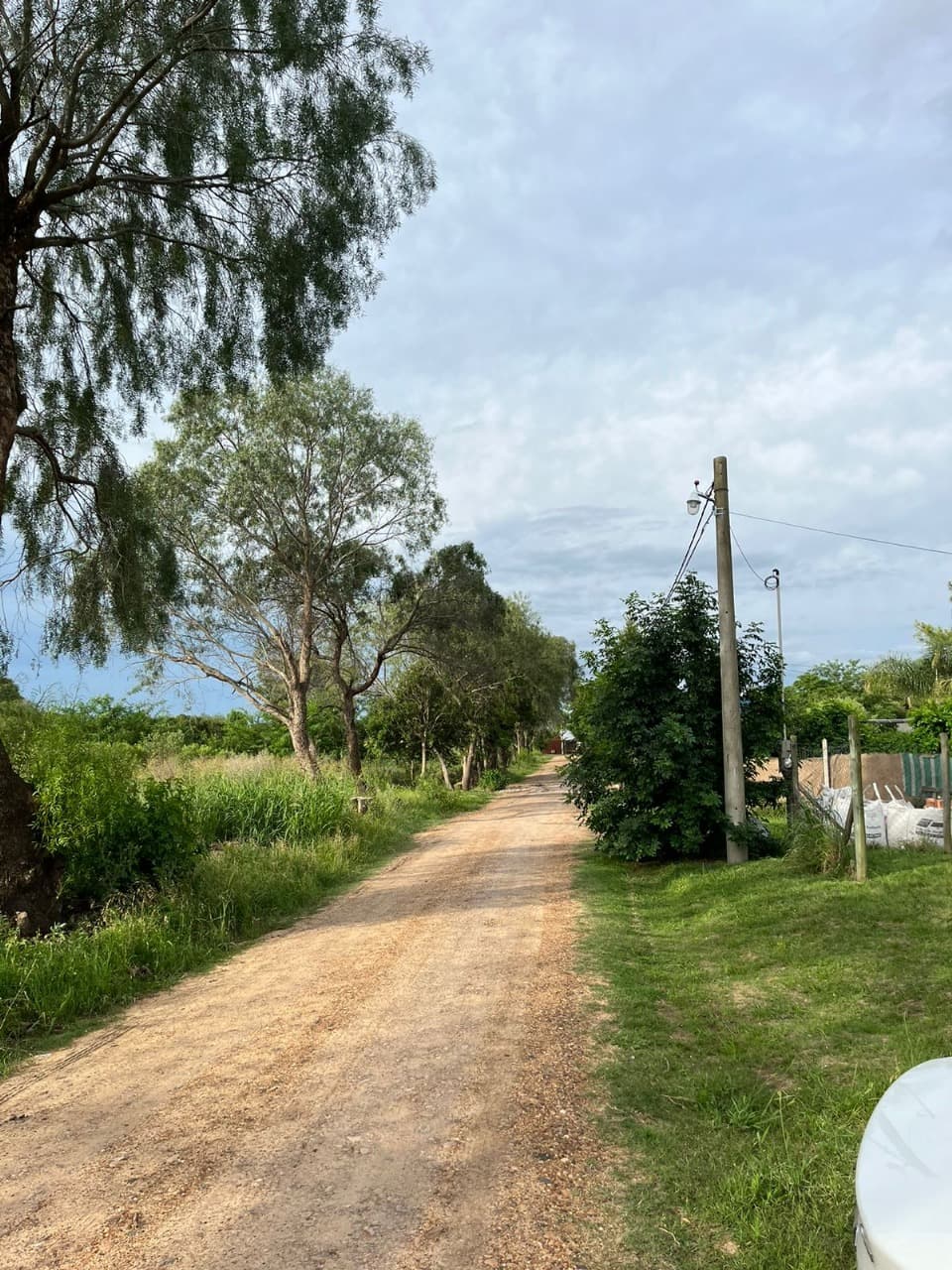 LOTE EN VENTA EN SAUCE MONTRULL