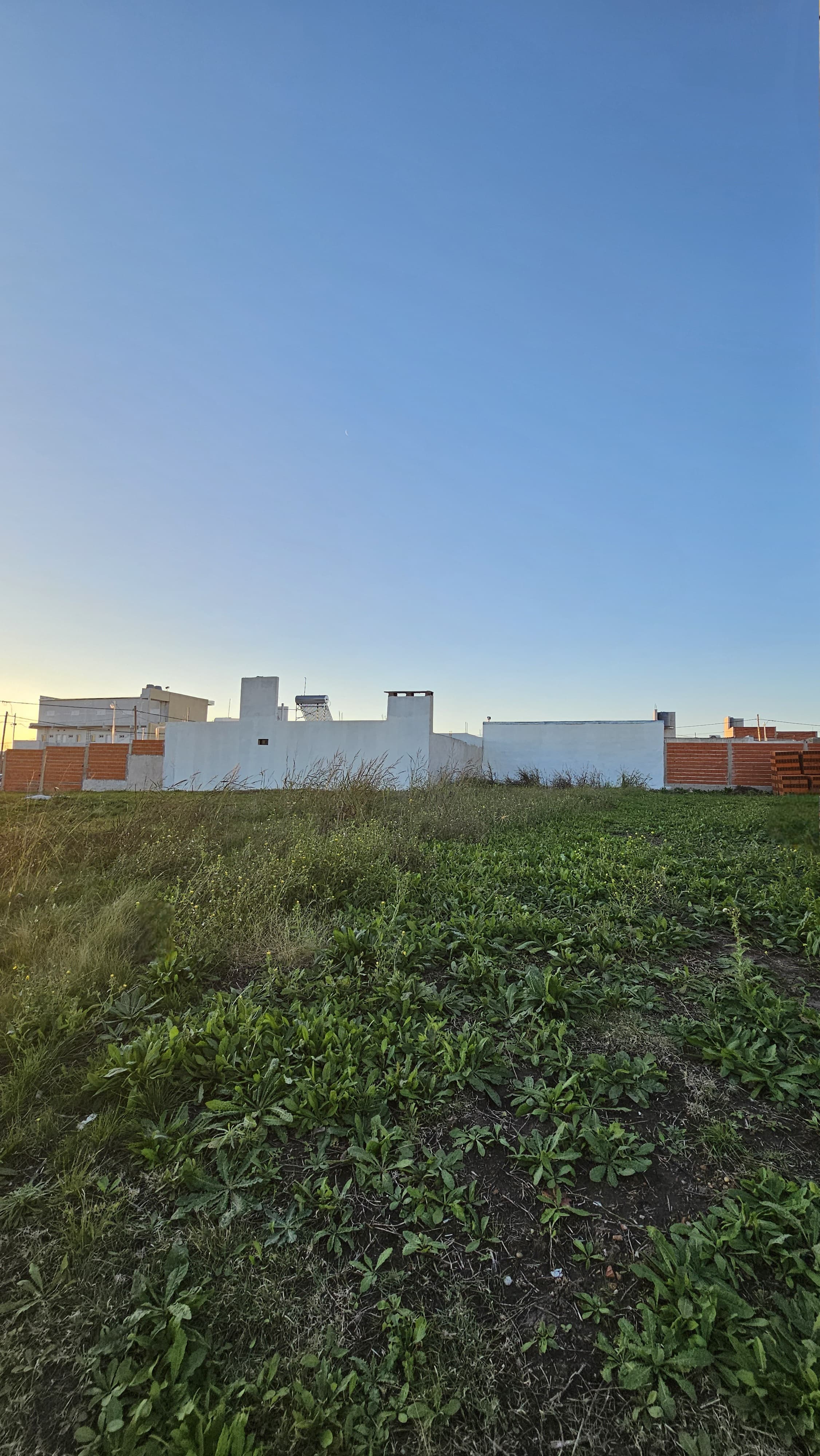 Imagen de la propiedad TERRENO EN VENTA (SAN BENITO)
