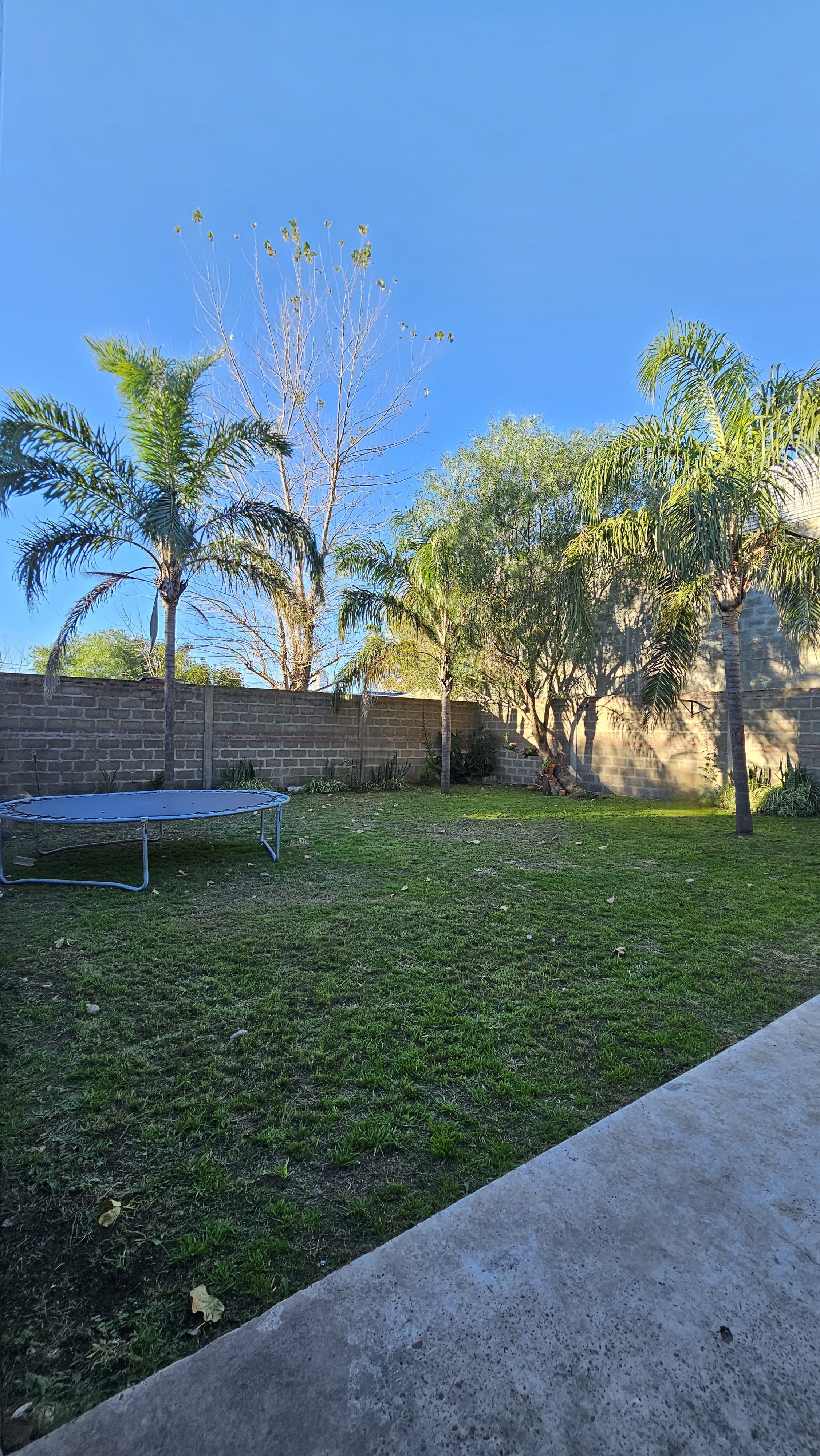 Imagen de la propiedad CASA EN VENTA COLONIA AVELLANEDA