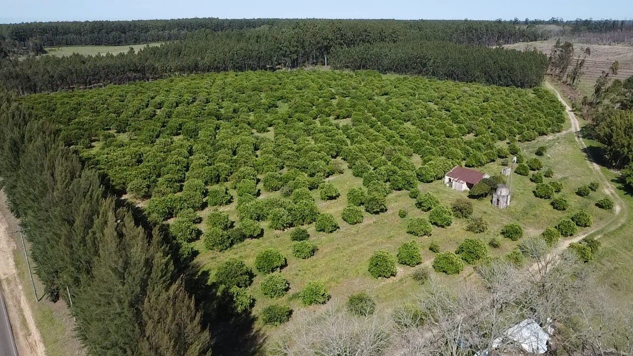 Imagen de la propiedad LOTES EN VENTA CONDOMINIO EN CALABACILLAS