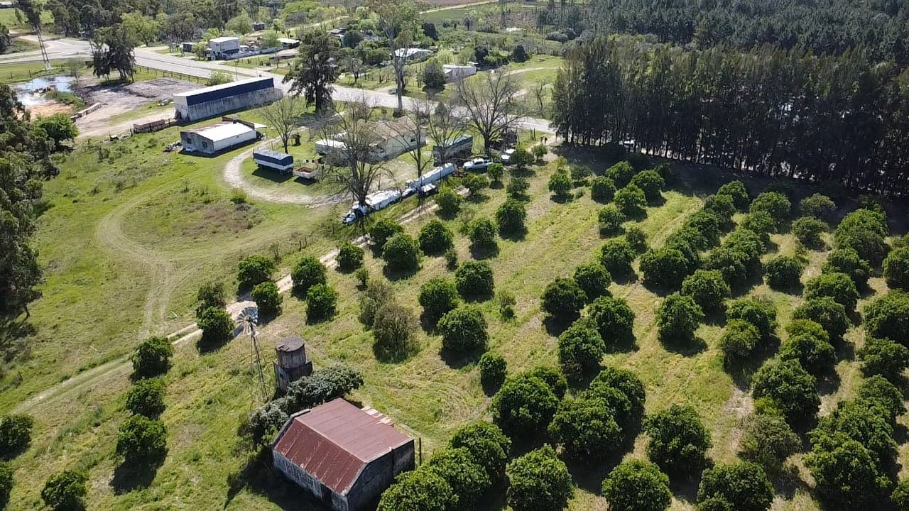 Imagen de la propiedad LOTES EN VENTA CONDOMINIO EN CALABACILLAS