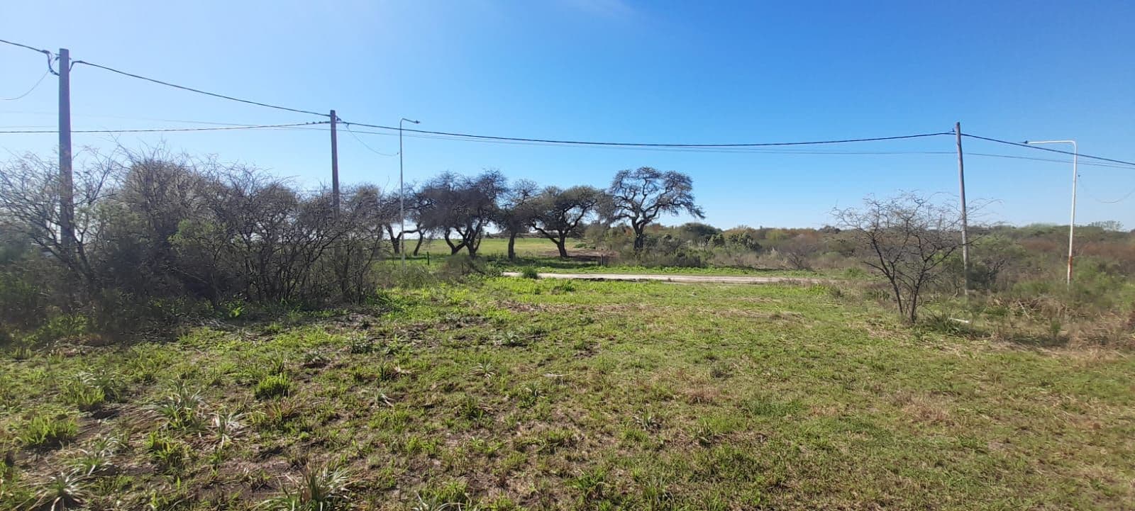 Imagen de la propiedad TERRENO EN VENTA 