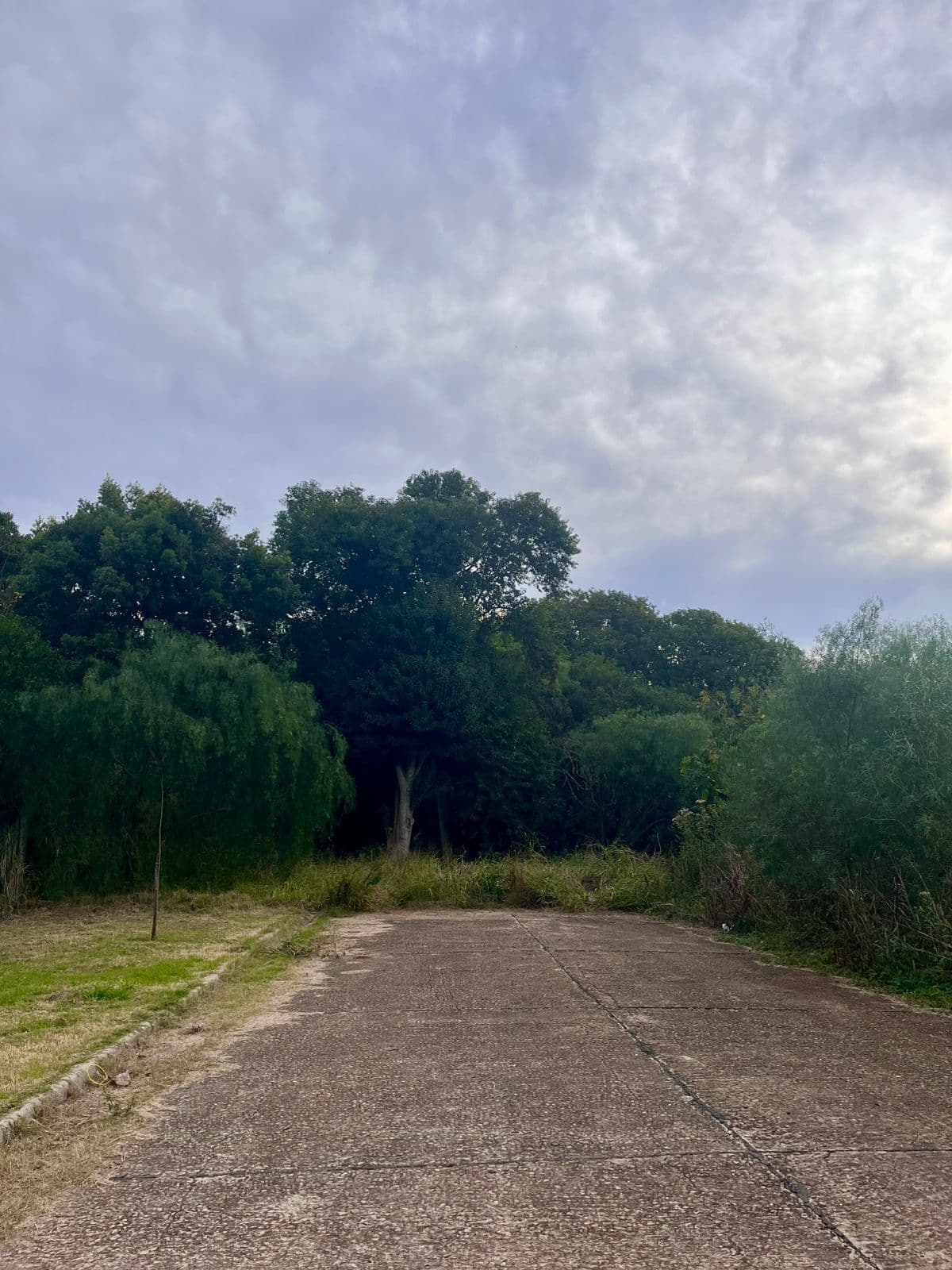 Imagen de la propiedad LOTE EN VENTA