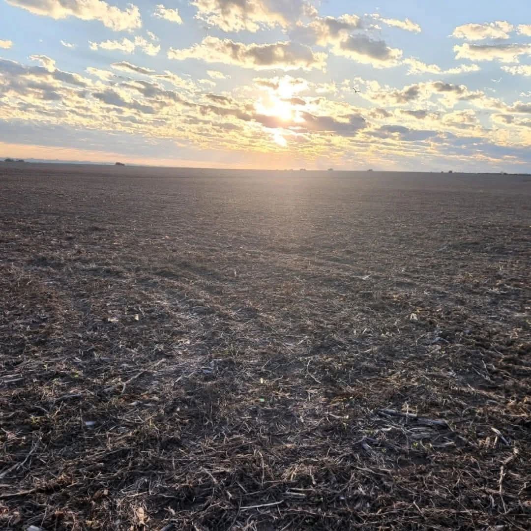 Imagen de la propiedad  CHACRAS DE COLONIA – COLONIA ENSAYO