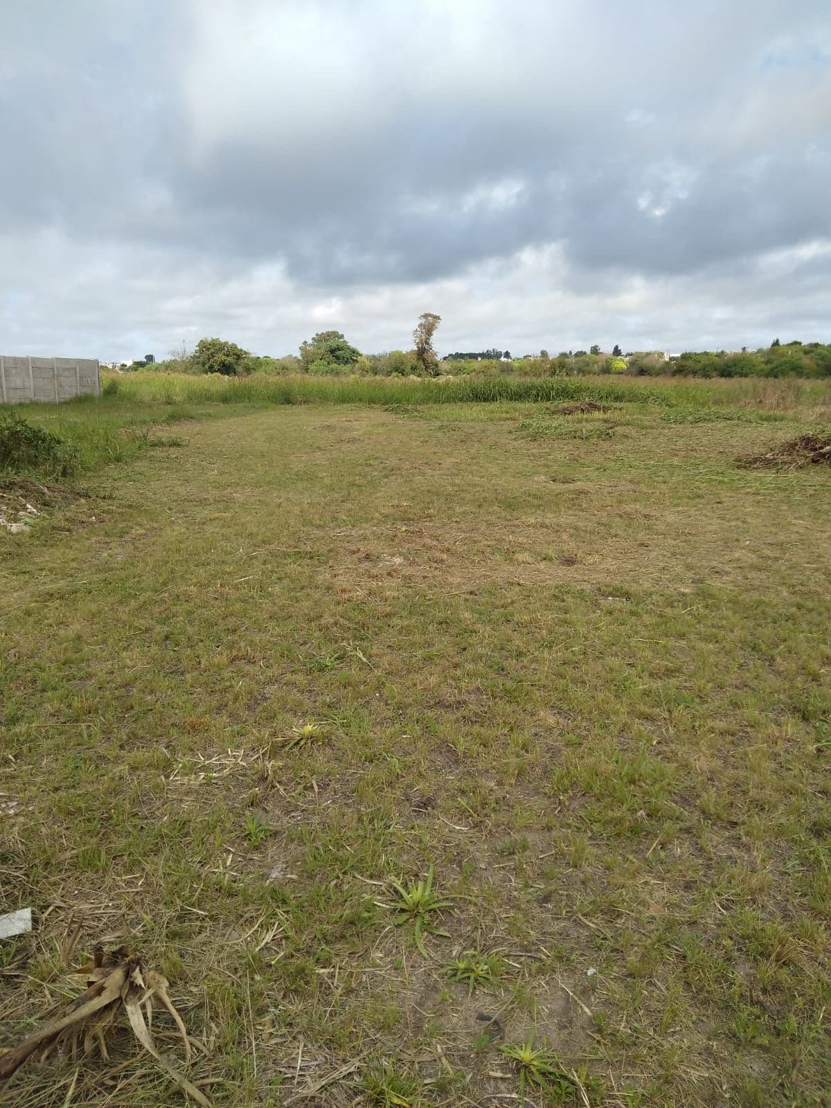 Imagen de la propiedad TERRENO EN VENTA SAN BENITO