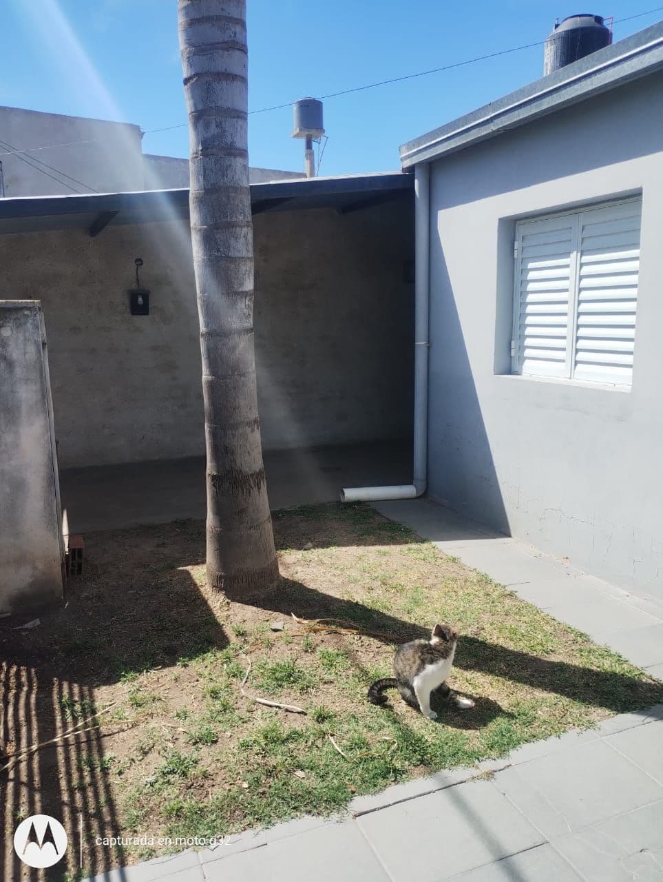 Imagen de la propiedad CASA EN VENTA - COLONIA AVELLANEDA