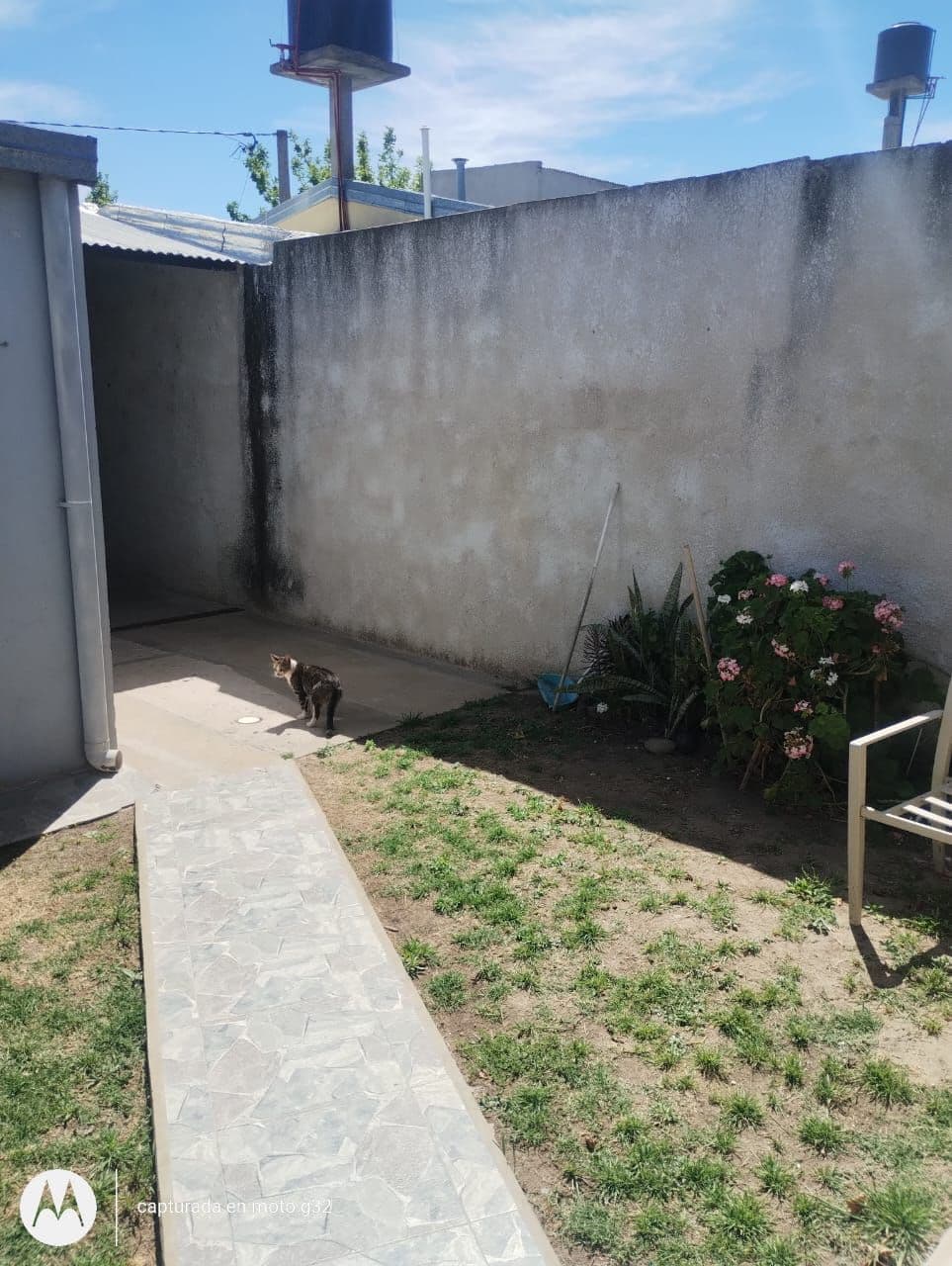 Imagen de la propiedad CASA EN VENTA - COLONIA AVELLANEDA