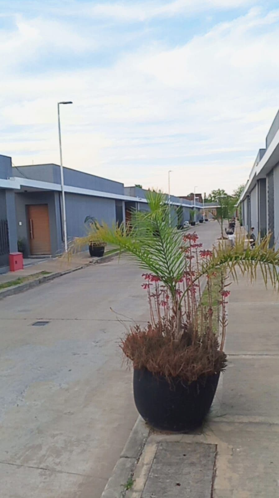 Imagen de la propiedad CASA EN VENTA