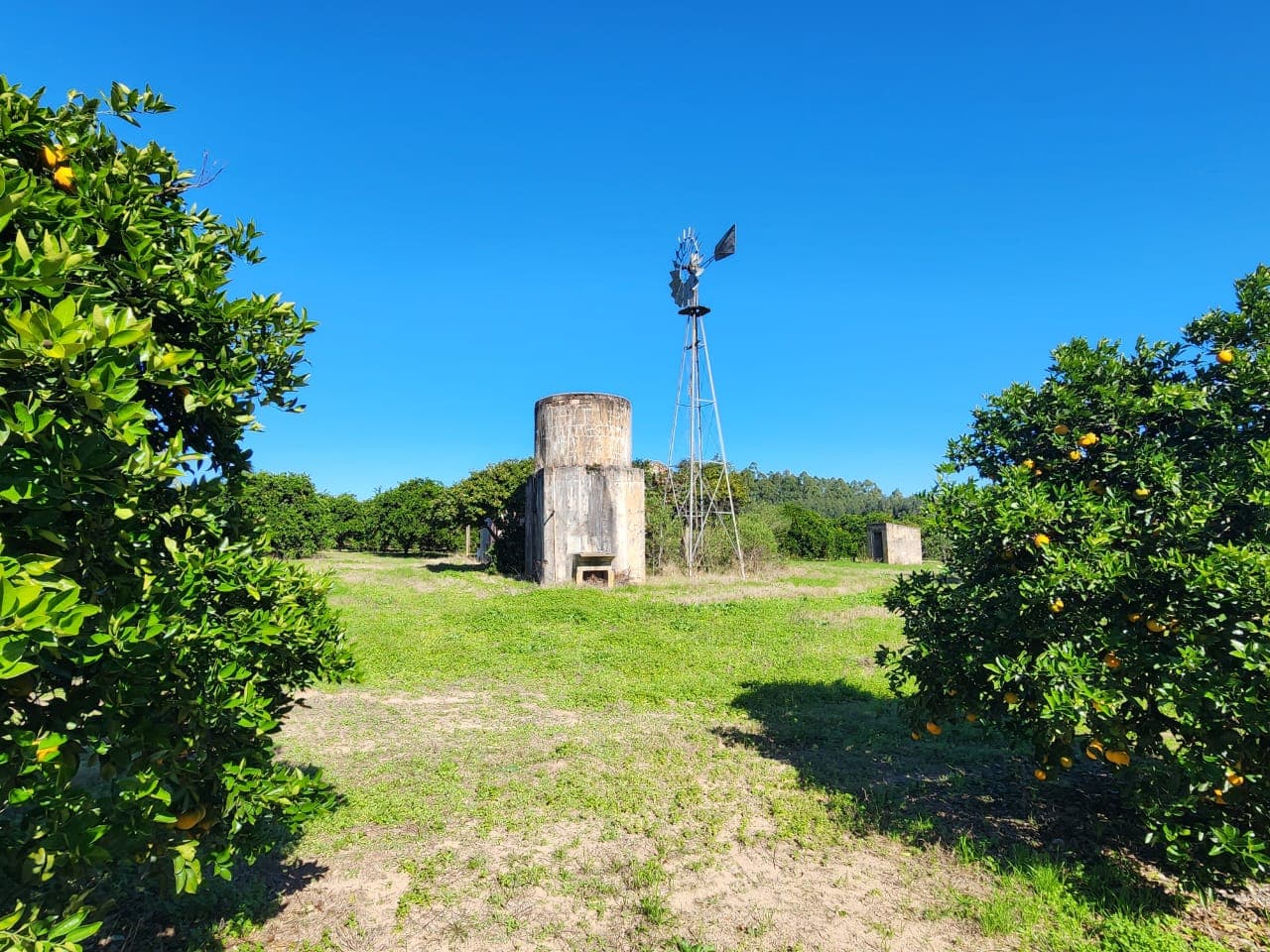 Imagen de la propiedad LOTE EN TIERRA EN CALABACILLAS
