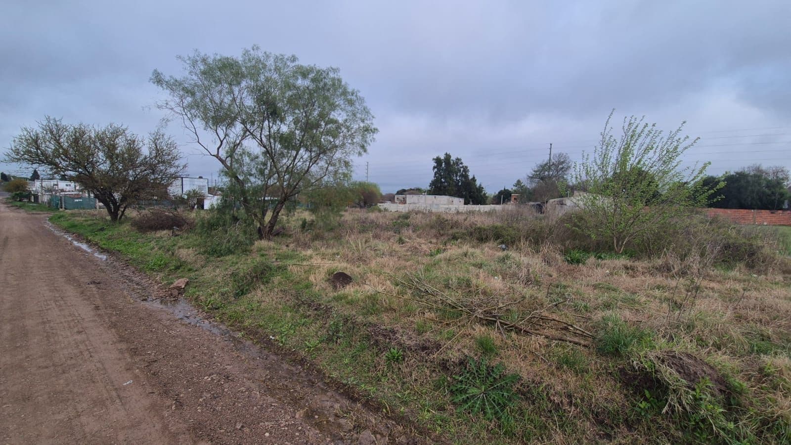 Imagen de la propiedad LOTE EN SAN BENITO