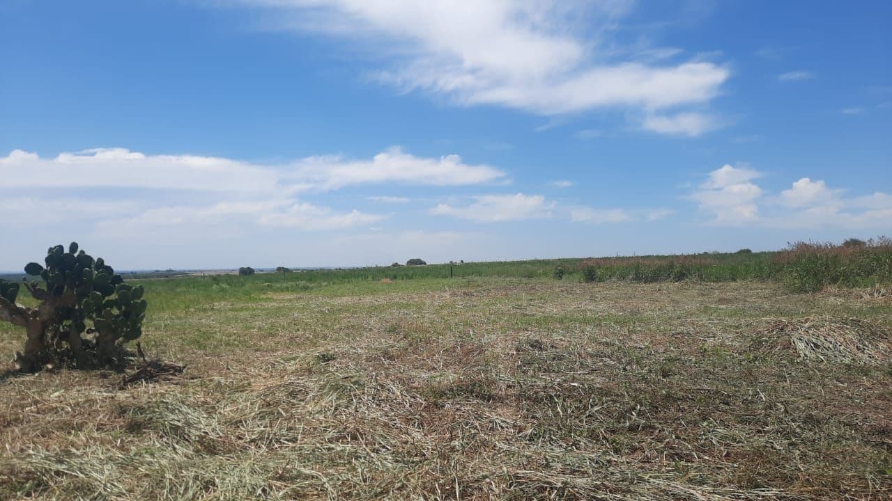 Imagen de la propiedad CHACRAS DE COLONIA – COLONIA ENSAYO