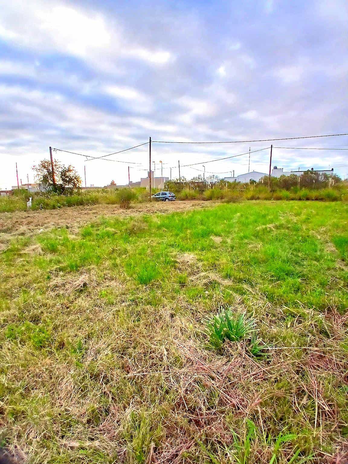 TERRENO EN CALLE 1666