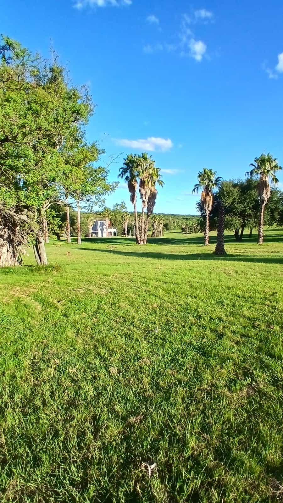 Imagen de la propiedad TERRENO EN VENTA – CLUB DE CAMPO Y GOLF LAS COLINAS