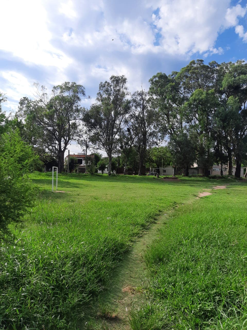 Imagen de la propiedad TERRENO EN SAN AGUSTIN