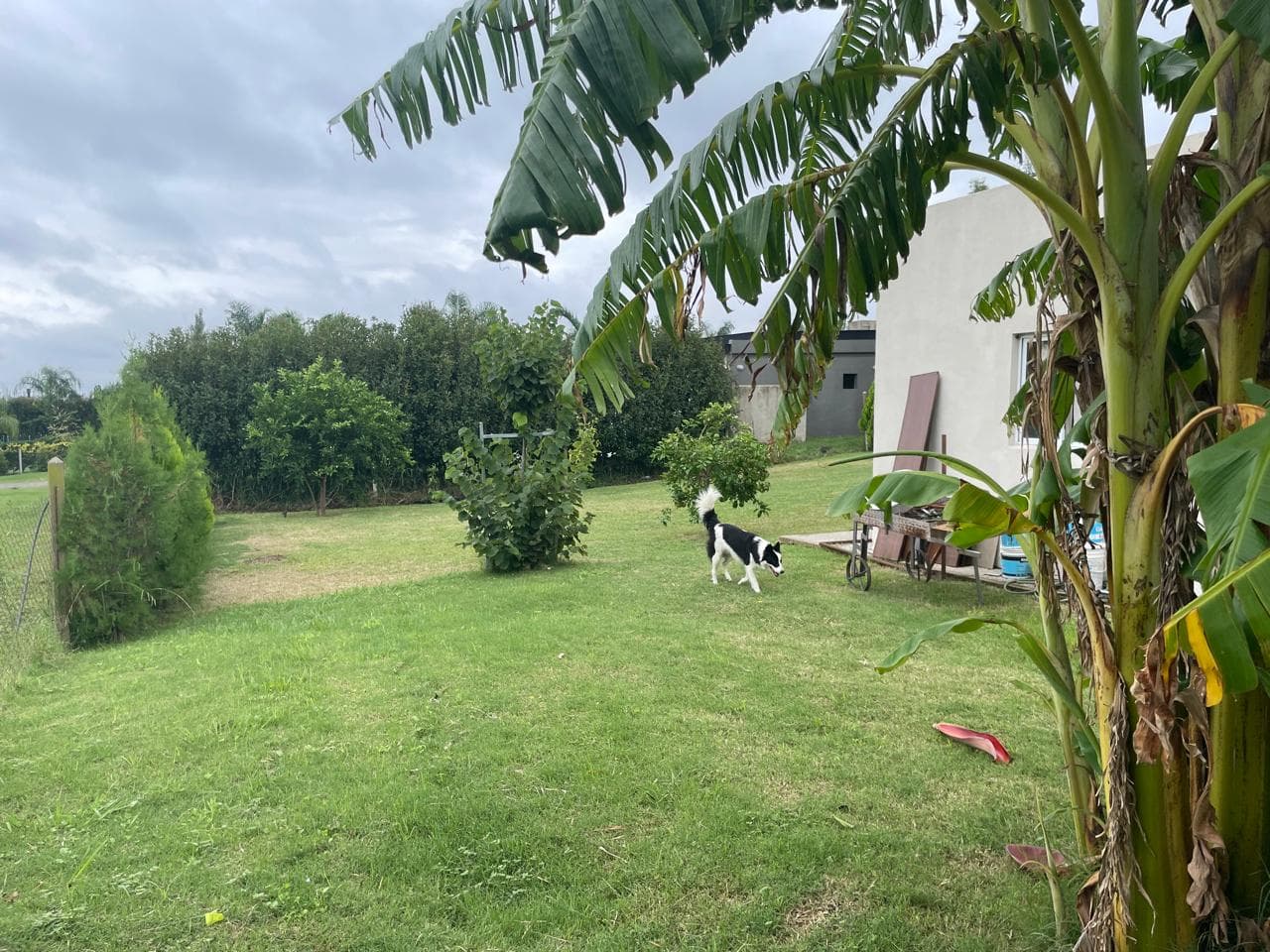 Imagen de la propiedad CASA EN VENTA BARRIO SANTA CANDIDA